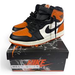 Air Jordan 1 Retro OG 2025 High Shattered Backboard DZ5485 008 SZ 10